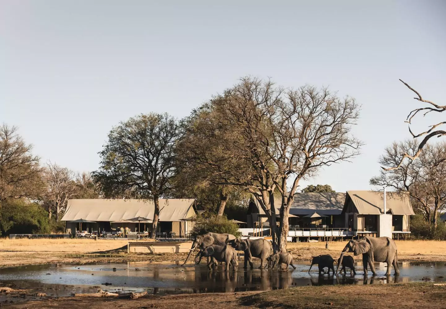 No logo_Lodge_header (1)