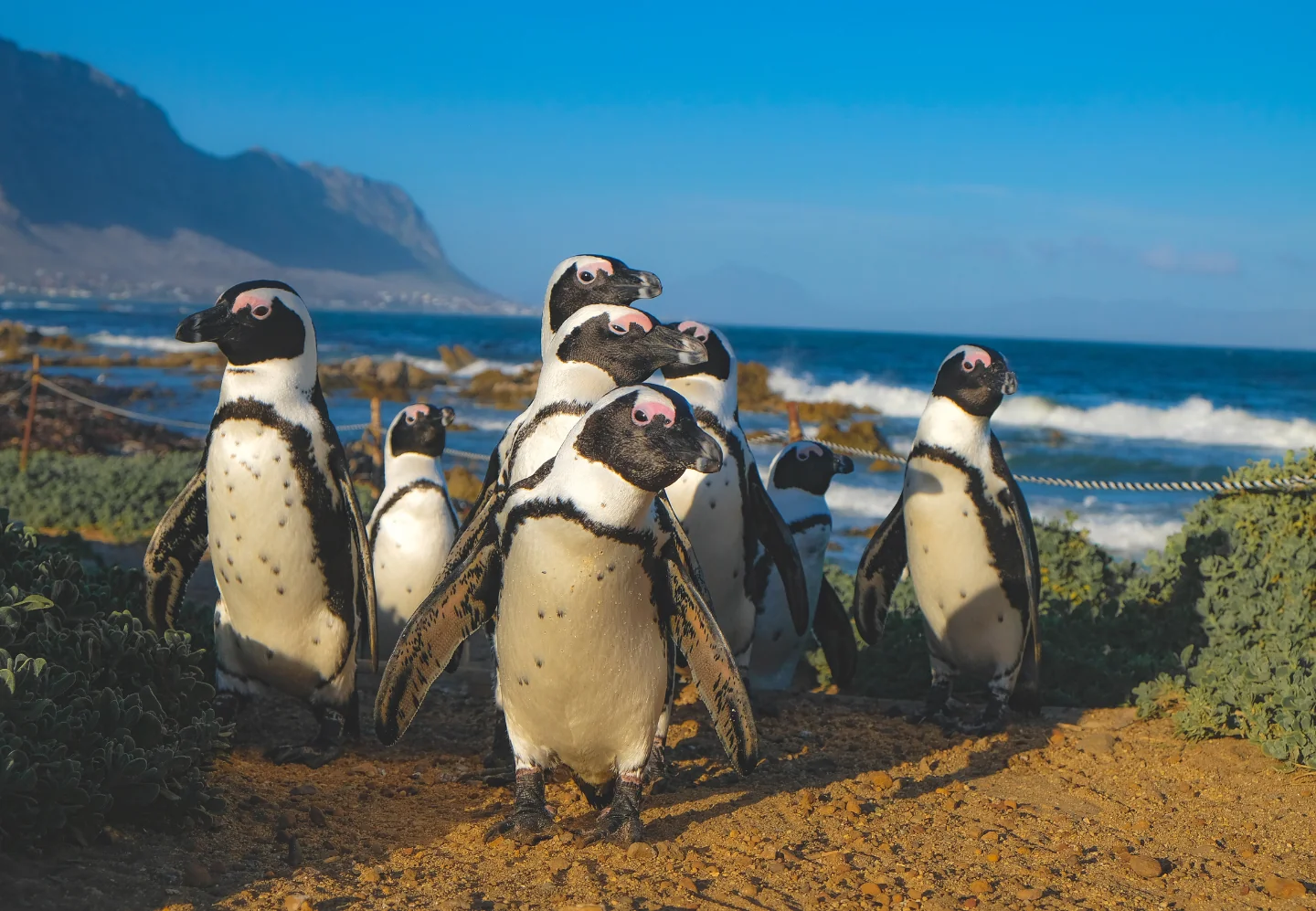 No logo_Lodge_header (1)