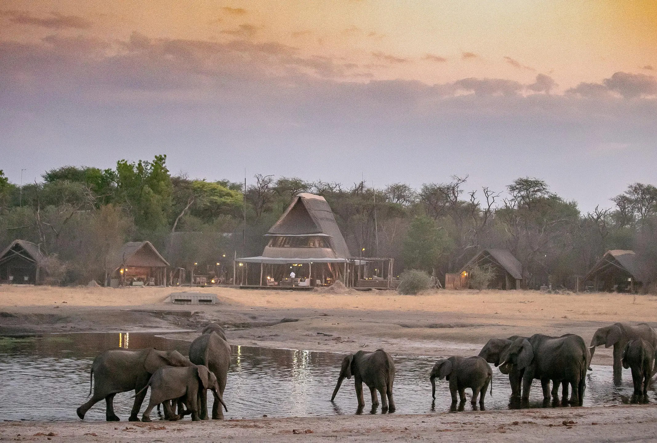 The Hide A Frame and Elephants